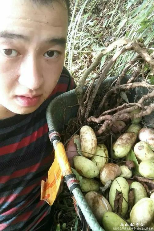 成都伴游招聘_成都伴游哪里好_成都伴游商务ERA二灵9