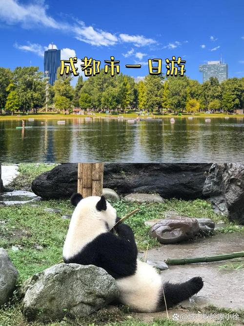 成都休闲项目_成都休闲怎么样_成都休闲生活
