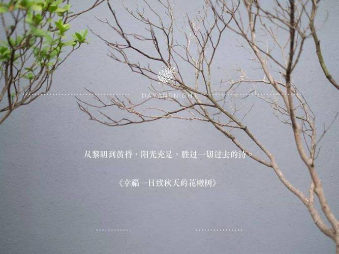 休闲的成都_成都休闲怎么样_成都休闲之都